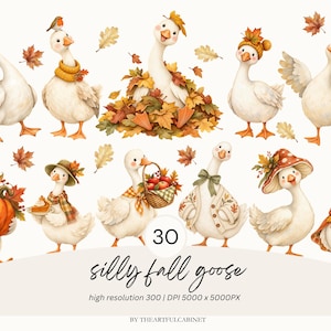 May include: A collection of illustrations featuring white geese in various autumn-themed outfits and poses, including geese with pumpkins, baskets of apples, scarves, hats, and fall leaves. The text reads 30 silly fall goose high resolution 300 DPI 5000 x 5000PX.