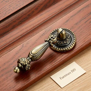 May include: A bronze-toned metal drop pull handle featuring a circular backplate with a beaded edge and a decorative, elongated handle with a floral-patterned base. A small white rectangular card with the text Furniture DIY is included.