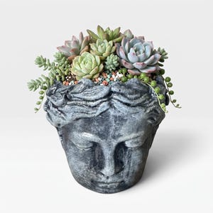 Handmade Greek Goddess Head Planter | Hand-Painted Plaster Succulent Pot | Classical Bust Planter | Mini Cactus Pot | Unique Gift