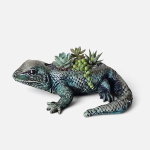 May include: A ceramic lizard-shaped planter with a glossy teal and dark green textured finish. The back of the lizard features a hollow opening filled with small dark pebbles and a variety of small green succulents and trailing bead-like plants.
