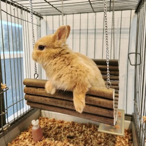 以下が含まれることがあります： 柔らかい毛並みの小さな明るい茶色のウサギが、金属製のチェーンで吊るされた水平な丸太で作られた木製のブランコに乗っています。ウサギは左を向いて横向きに座っており、前足を木の上に置いています。ブランコはワイヤーケージの中に設置されています。