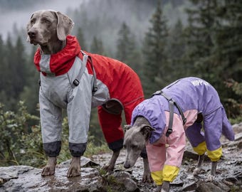 Macacão impermeável de corpo inteiro para cães de grande porte | Roupa impermeável para atividades ao ar livre