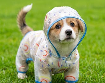 May include: A clear, lightweight dog raincoat featuring a colourful pattern of small rainbows and blue raindrops. The garment includes a hood with a blue trim, long sleeves, and snap button closures along the front, worn by a small puppy.
