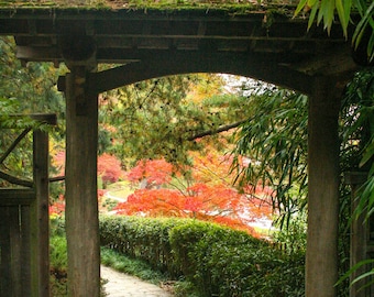 Archway at Maymont Park in Richmond Va, Fall Landscape Photography, Frame Available,  Christmas Gift, Gift for Him, Gift for Her