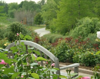 Lewis Ginter Botanical Gardens in Richmond Va, Garden Art 8x10 Photo, Frame Available,  Christmas Gift, Gift for Him, Gift for Her