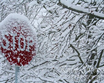 Winter Snow Photo, Stop Sign Photo, Snow Storm Landscape Photo 8x10 Photo, Framed Photography Option,  Christmas Gift