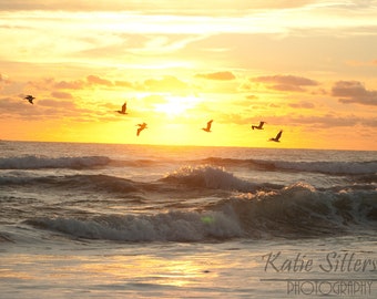 8x10 Nags Head NC Beach Summer Sunrise with Pelicans, Coastal Beach Decor, OBX Print, Frame Option,  Christmas Gift