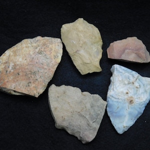 May include: Five different pieces of flint knapping, a type of stone tool making. The pieces are various shades of brown, tan, and blue.
