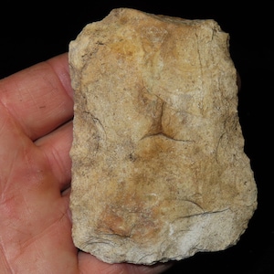 May include: A light brown, rough-textured stone with a slightly rectangular shape. The stone has a natural, weathered appearance.