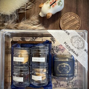以下が含まれることがあります： クッキーの種類がラベル付けされた4つの小さな瓶と、Assortment of cookiesとラベル付けされた大きな瓶が入った透明なプラスチックケース。ケースの外には、花柄の小さな陶器製の豚の置物とアメリカの1セント硬貨が置かれています。