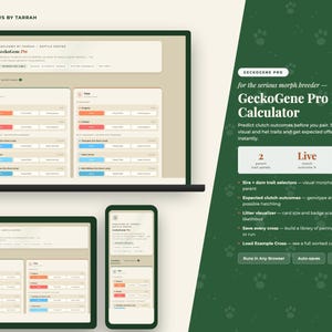 Op de afbeelding: Een digitale interface voor de GeckoGene Pro Morph Calculator weergegeven op een laptop, tablet en smartphone. Het scherm toont selectiepanelen voor eigenschappen met tekst die functies zoals broedresultaten en kruisingsgeschiedenis beschrijft.