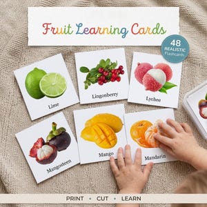 Puede incluir: Un conjunto de 48 tarjetas de aprendizaje de frutas realistas que consisten en tarjetas cuadradas blancas con imágenes y nombres de lima, arándano rojo, lichi, mangostán, mango y mandarina. Incluyen el texto Fruit Learning Cards y Print Cut Learn.