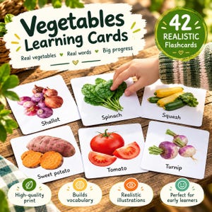 Pode incluir: Um conjunto de 42 cartões de aprendizagem de vegetais com ilustrações realistas de chalotas, espinafres, abóbora, batata-doce, tomate e nabo. Cada cartão branco exibe uma imagem de vegetal com o nome impresso em texto preto abaixo.