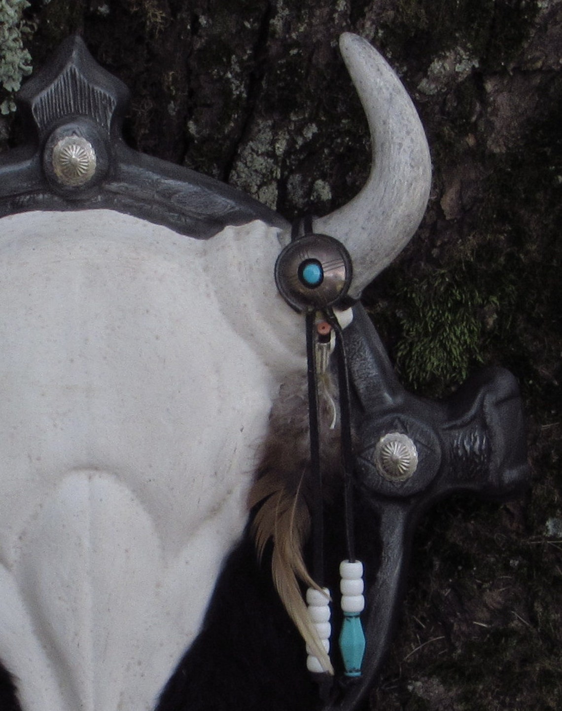 Ceramic Animal Skull Wall Hanging Country Western Shabby Etsy