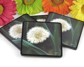 Set of Four Dandelion Coasters with Cork Backs in Original Box by Pimpernel - Heat Resistant to 230 Degrees Farenheit