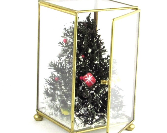 Glass and Brass Latching Display Box Upright Rectangle Shaped Footed