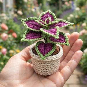 May include: A small crocheted plant featuring vibrant purple leaves with light green edges, potted in a textured beige yarn container. The plant has a brown crocheted base representing soil, with detailed stitching visible on each leaf and the pot.