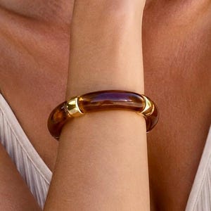 Può includere: Un bracciale rigido circolare caratterizzato da un corpo in resina traslucida color ambra scuro, impreziosito da due segmenti in metallo dorato lucido posizionati sui lati opposti del cerchio, creando un profilo arrotondato e continuo.