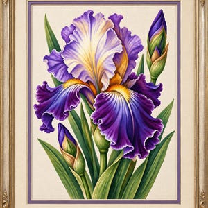 May include: A framed botanical illustration of a blooming purple and white iris flower with two closed buds and long green leaves. The artwork is set against a cream-colored background and enclosed in an ornate, metallic gold-toned frame.