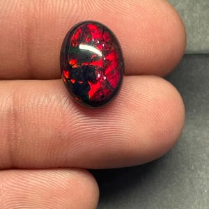 Könnte beinhalten: Ein ovaler schwarzer Opal-Edelstein mit einer dunklen Grundfarbe und lebhaften, intensiven roten Farbblitzen auf der gesamten Oberfläche. Der Stein hat ein glattes, poliertes Cabochon-Finish, das das Licht auf seinem dunklen Körper reflektiert.