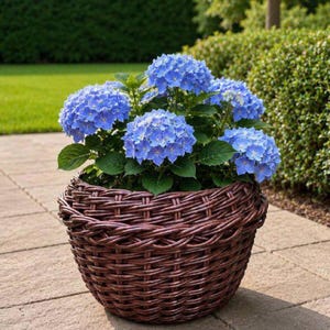 Panier à fleurs tressé à la main de 12 L avec double rotin synthétique
