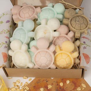 May include: A cardboard gift box filled with multiple turtle-shaped soaps in pastel colours, including pink, blue, white, and yellow. Beside the box sits a small glass jar of honey, a wooden honey dipper, and two square cards with illustrations.