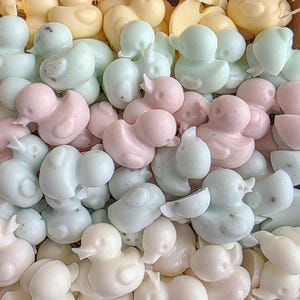 May include: A cardboard box filled with numerous duck-shaped soaps in various pastel colours, including yellow, green, and pink. The soaps are arranged closely together, creating a visually appealing display. The box is lined with natural-looking straw.