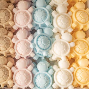 May include: A collection of small turtle-shaped soaps arranged in rows. The soaps come in various pastel colours including light green, tan with speckles, soft pink, light blue, white, and yellow, each featuring a detailed shell pattern.