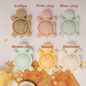 May include: Six turtle-shaped soaps in various colours and textures labelled Coffee, Pink clay, Blue clay, Green clay, Honey, and Oatmeal. A glass jar of honey with a wooden dipper and scattered oats are arranged alongside the soap bars.