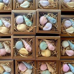Può includere: Una collezione di saponi a forma di conchiglia in vari colori pastello, tra cui blu, rosa e giallo. Ogni sapone è contenuto in una piccola scatola quadrata riempita di paglia.