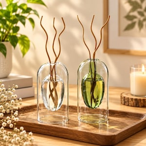 Flacon diffuseur à bâtonnets en verre à double dôme, récipient vide pour parfum, vase d'aromathérapie minimaliste, flacon de parfum décoratif