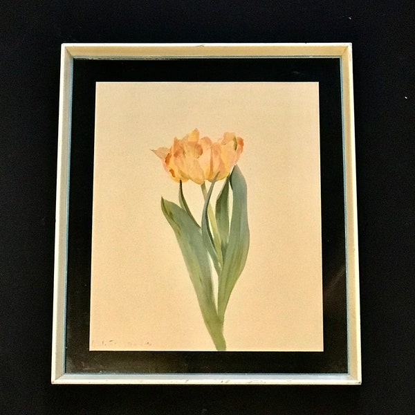 Antique Old French Floral Print Engraved Plate Princess Bibesco Water Colors by Arlette Davids, 15x13" Yellow Tulip Flowers