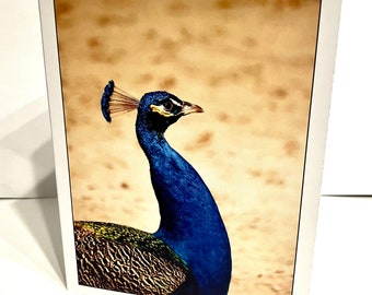 Note Cards - Blue Peacock