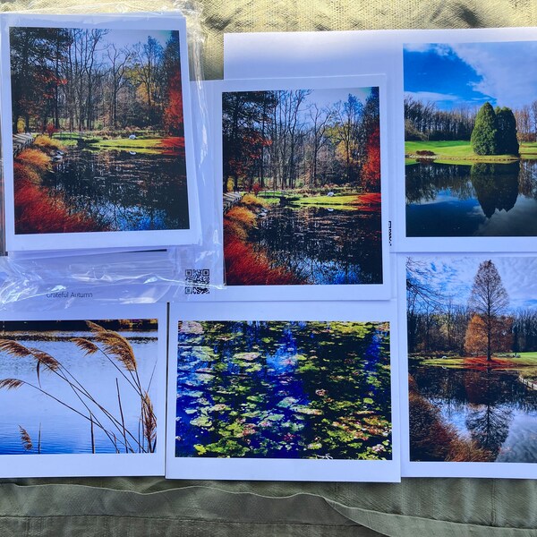 Note Cards - Landscapes. Pack of 5