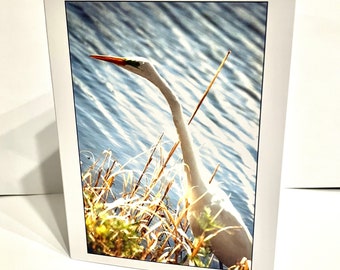 Note Cards - Stretched Bird