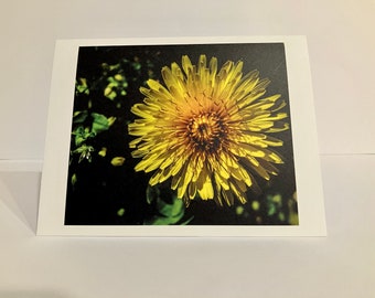 Note Cards - Flickering Summer