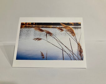 Note Cards - Autumn Willow
