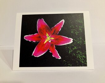 Note Cards - Wish on a Lily