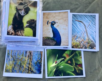 Note Cards - Birds. Pack of 5