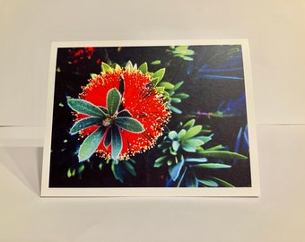 Note Cards - Candy Flower