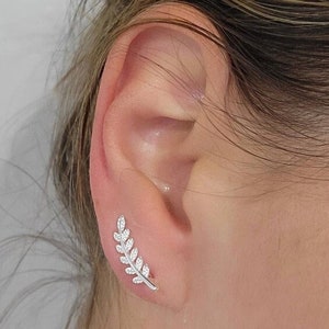 May include: A silver ear cuff in the shape of a leaf with small sparkling stones. The ear cuff is worn on the upper part of the ear.