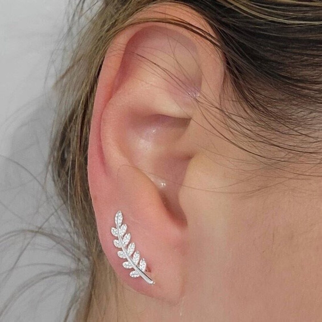 Small Ear Climber Earrings Gold Rose Gold Silver Etsy