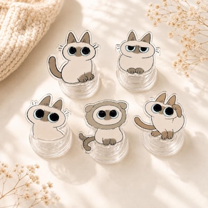May include: Five clear acrylic phone grips featuring cartoon Siamese cat illustrations. Each grip displays a different cat pose, including sitting, standing, and one wearing a lion mane hood, all with large expressive eyes and beige fur.