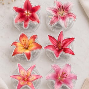 May include: A set of six circular phone grips, each featuring a distinct lily flower design. The flowers display various shades of pink, red, and orange, with some petals showing speckled patterns and others featuring solid, vibrant color gradients.