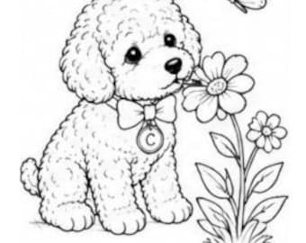 Toy Poodle Flower Garden Coloring Page | Puppy Nature Printable | Cute Dog PNG Download