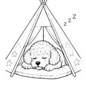 Puede incluir: Una ilustración de arte lineal en blanco y negro de un cachorro de pelo rizado durmiendo dentro de una tienda de campaña tipi triangular. La tienda presenta patrones de estrellas en los paneles laterales y la letra Z se repite tres veces.