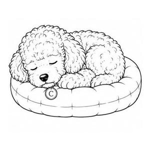 Op de afbeelding: Een zwart-wit lijntekening van een krulharige puppy die opgerold slaapt in een rond, gecapitonneerd hondenmandje. De puppy draagt een ronde halsbandpenning met de letter C. De tekening is opgebouwd uit strakke, duidelijke zwarte lijnen.