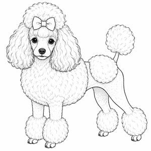 Op de afbeelding: Een zwart-witte lijntekening van een poedel met een krullende vacht, een pomponstaart en een strik op het hoofd. De hond staat in profiel en is voorzien van gedetailleerde vachttextuur, donkere ogen en een donkere neus in een strakke stijl.