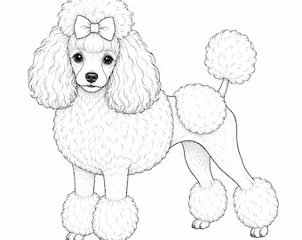 Toy Poodle Coloring Page Printable | Show Cut Poodle with Bow | Cute Dog Coloring Sheet | Instant Digital Download | Pet Lover Gift
