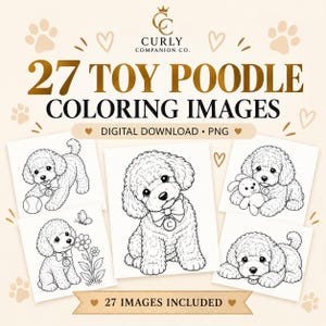 Puede incluir: Una colección digital de 27 imágenes de caniches toy para colorear en formato PNG. El gráfico incluye el texto Curly Companion Co. y 27 Toy Poodle Coloring Images. Cinco ilustraciones distintas en blanco y negro de caniches.